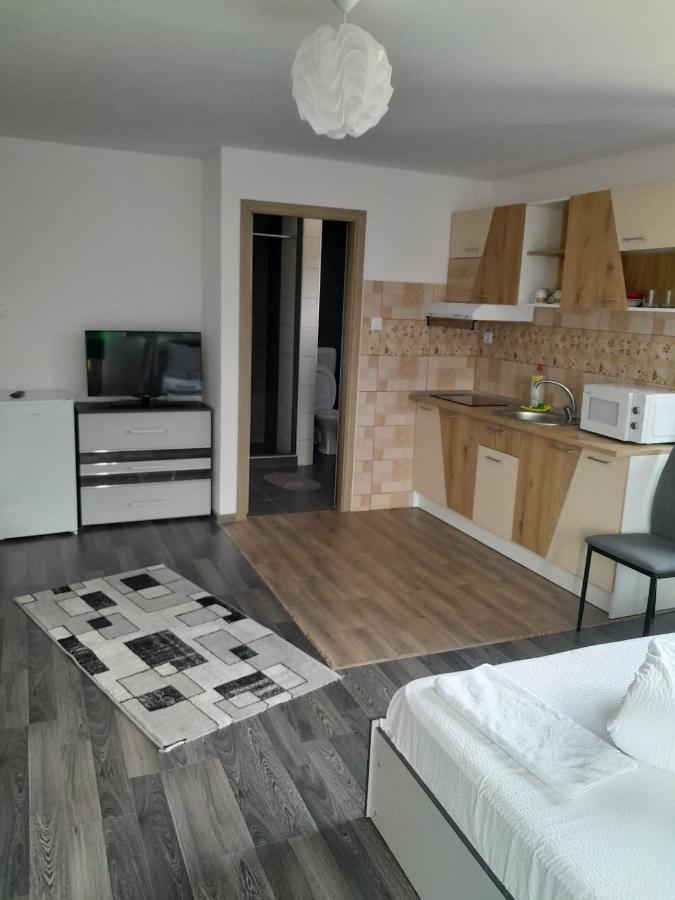 Apartamente Ambrus E Studio 21 Praid Zewnętrze zdjęcie